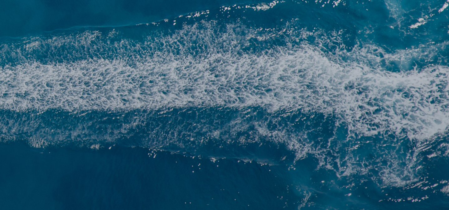 Suzuki Marine Detail Background