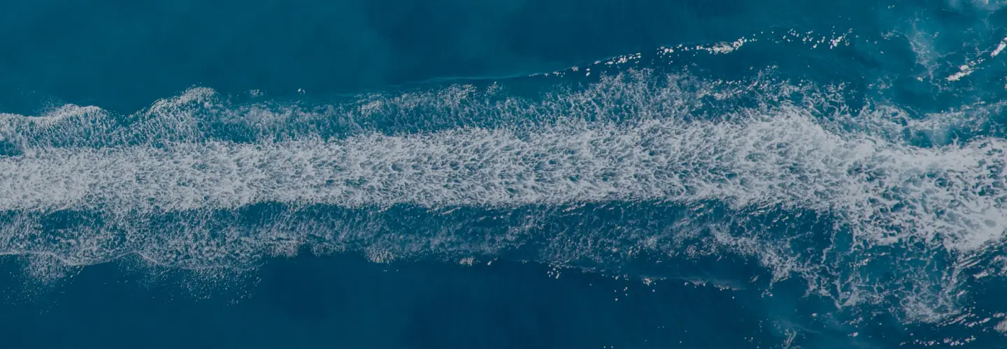 Suzuki Marine Detail Background