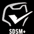 SDSM+
