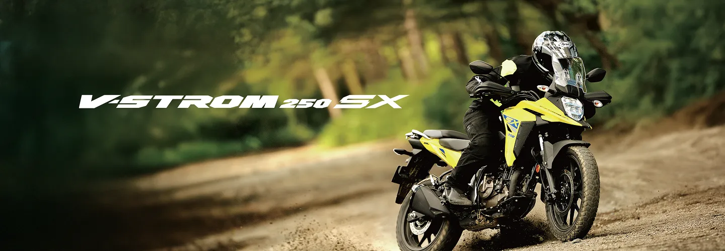 Banner VStrom 250 SX