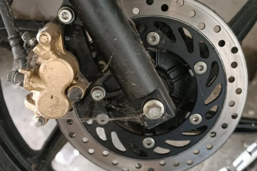 Cropped Image1736308681523
