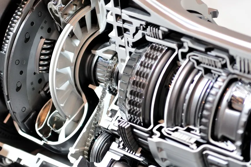 Cropped Image1756365505692