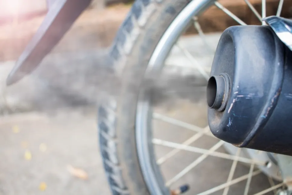 Cropped Image1756365984911