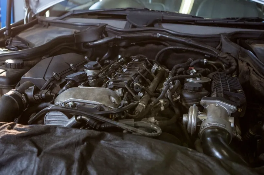 Cropped Image1759118524658